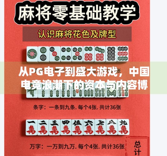 从PG电子到盛大游戏,中国电竞浪潮下的资本与内容博弈,盛大游戏PG电子游戏 从PG电子到盛大游戏,中国电竞浪潮下的资本与内容博弈,盛大游戏PG电子游戏