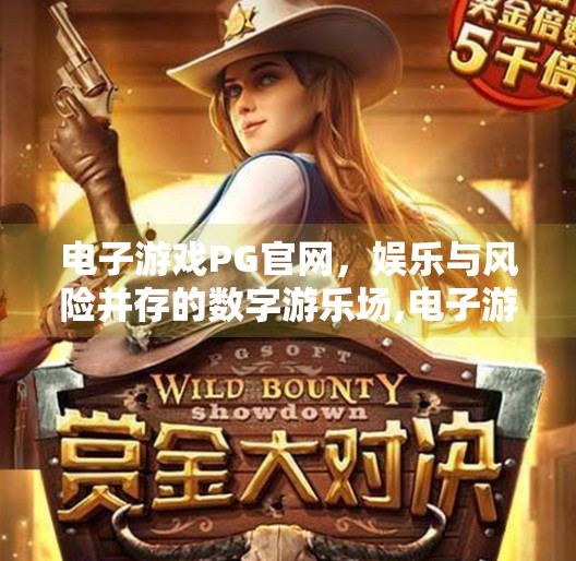 电子游戏PG官网，娱乐与风险并存的数字游乐场,电子游戏PG官网