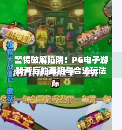 警惕破解陷阱！PG电子游戏背后的真相与合法玩法指南,如何破解pg电子游戏