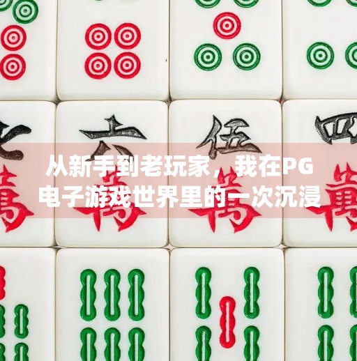 从新手到老玩家，我在PG电子游戏世界里的一次沉浸式体验之旅,体验pg电子游戏的感受
